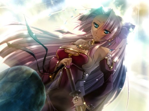 Amazon.co.jp: イエティベスト 真・恋姫†夢想~乙女繚乱☆三国志演義~呉